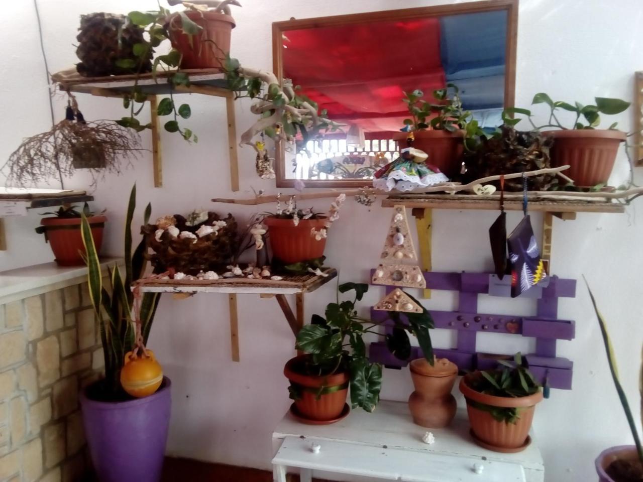Residence A Paz 살 레이 외부 사진